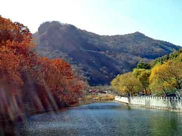 澳门二四六天天免费好材料，车祸现场恐怖图片